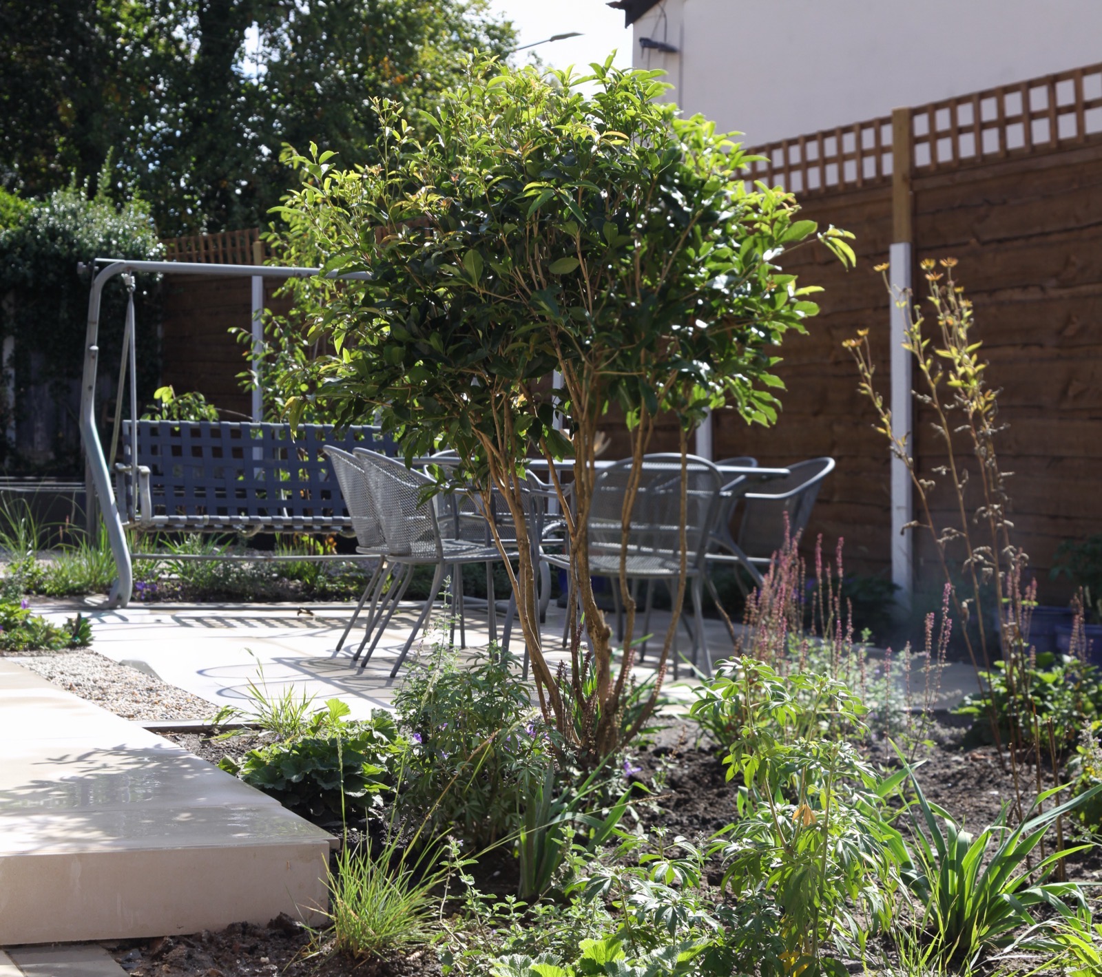 Sale Layered Planting